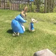 あめの画像