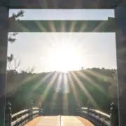 Yosiakiの画像