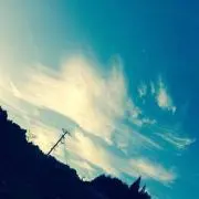 とっど