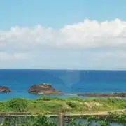 あかねこの画像