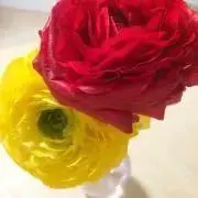 すぎちゃんの画像