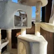 だっちょ。の画像