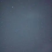 ゆの画像