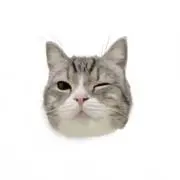 ささんぽの画像