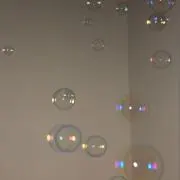 のりの画像