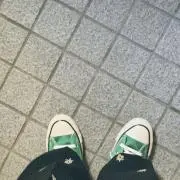 snpの画像