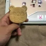 バトルスピリッツ 百獣元帥レイ・ザウラー・ワイルズ シークレット