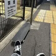 wasabiの画像