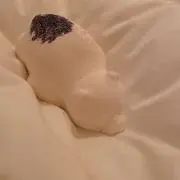 Shuyの画像