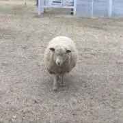 ⭐︎⭐︎の画像