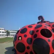 わだやんの画像