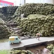 かじゅこ