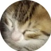 ꐕゆーちゃんꐕの画像