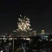 あんなの画像