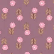 ❁momo❁の画像