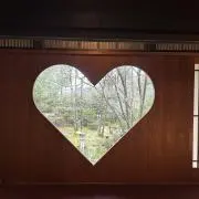 toiの画像