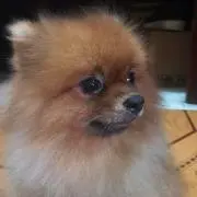 くるみ