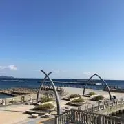 しゃけの画像