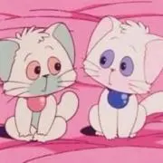 ちょもの画像