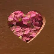 エネ丸
