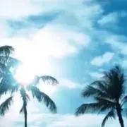 tsunaの画像