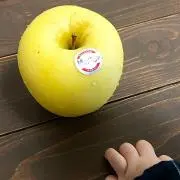 yoc
