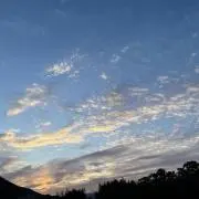 miraiの画像
