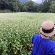 まるちゃんの画像
