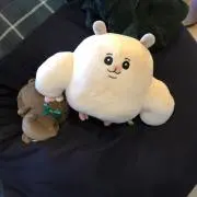 yobo-nyankoの画像
