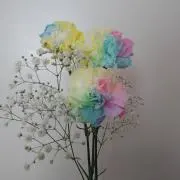 メロディー