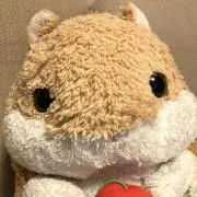 ころんころんの画像
