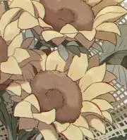 ゆう