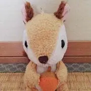 どんぐりん☆