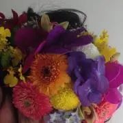 ココ