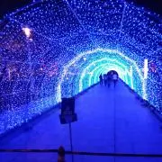カー君の画像