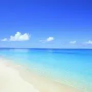 シーままの画像