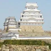 倭少の画像