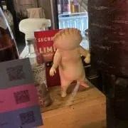 ジャスミンの画像