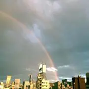 ココ【8月17日以降の発送になります】の画像