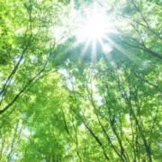 ray☆丁寧対応の画像