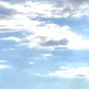 ゆーーーの画像