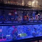 マカロニの画像