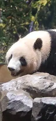 あつ（匿名配送　春夏物出品中）の画像