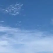 むぎ 即購入OKの画像