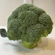 さかあがり太郎の画像