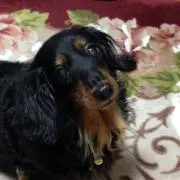 ラッキー　プロフ要確認⚠️の画像