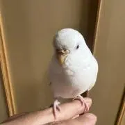 parisの画像