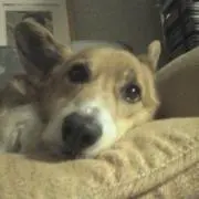 STOの画像