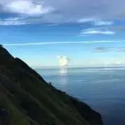 凛の画像