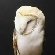 ナギヒロ*